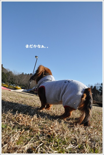 001。1.JPG