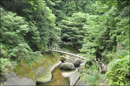 043。1.JPG
