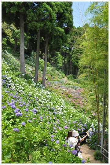 056。1.JPG
