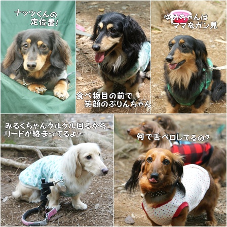 2009_06130003。1.jpg