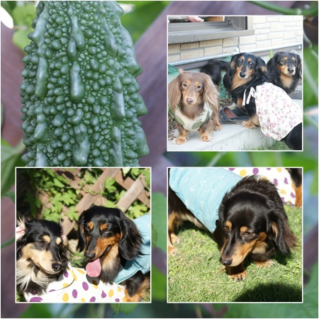 2009_07260001。1.jpg