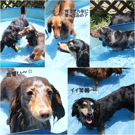 2009_07260002。1.jpg