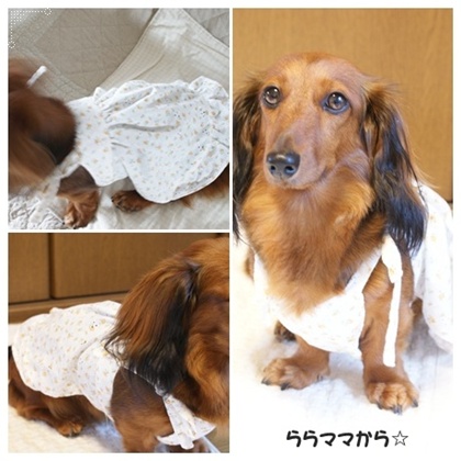 2009_07280003。2.jpg