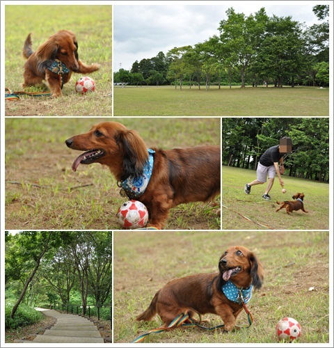 2011_0725。2.jpg