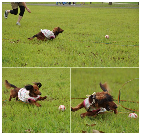2011_0925。1.jpg